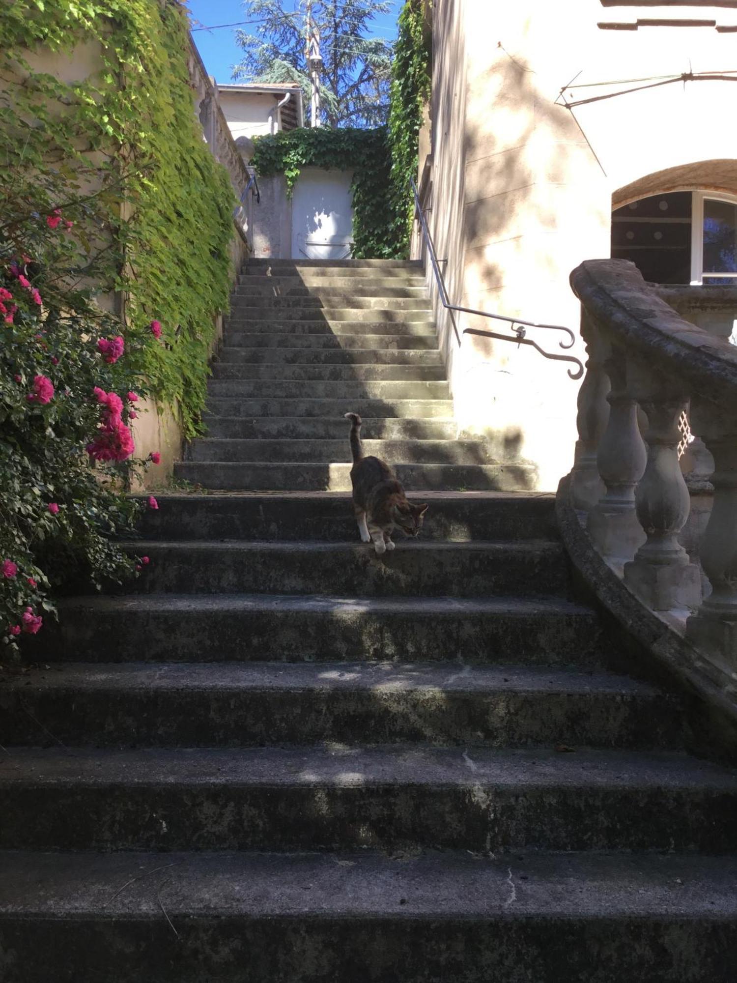 Le Manoir Villa Tarare Exterior photo